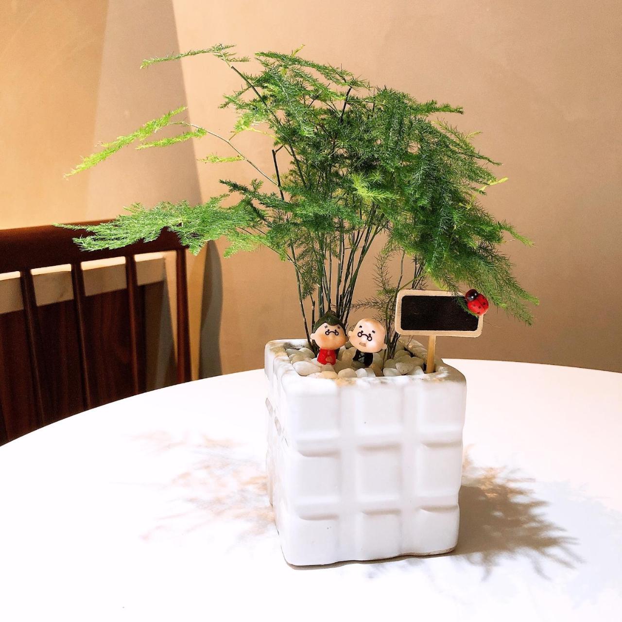 Nhà là homestay Hanoi Esterno foto